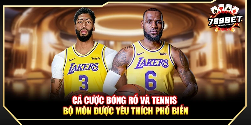 Cá cược bóng rổ và tennis - Bộ môn được yêu thích phổ biến