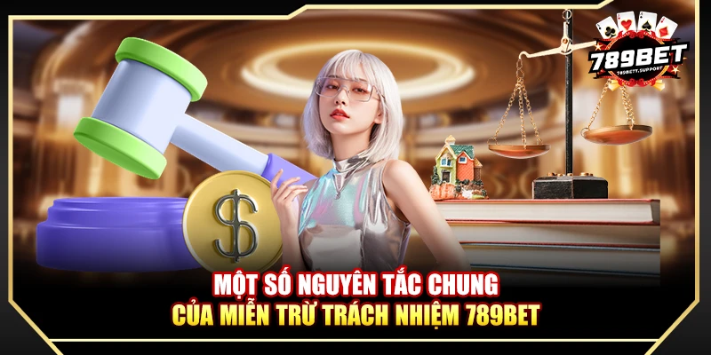 Một số nguyên tắc chung của miễn trừ trách nhiệm 789bet